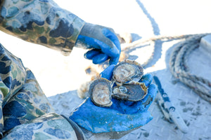 Guide to Ordering & Tasting Oysters
