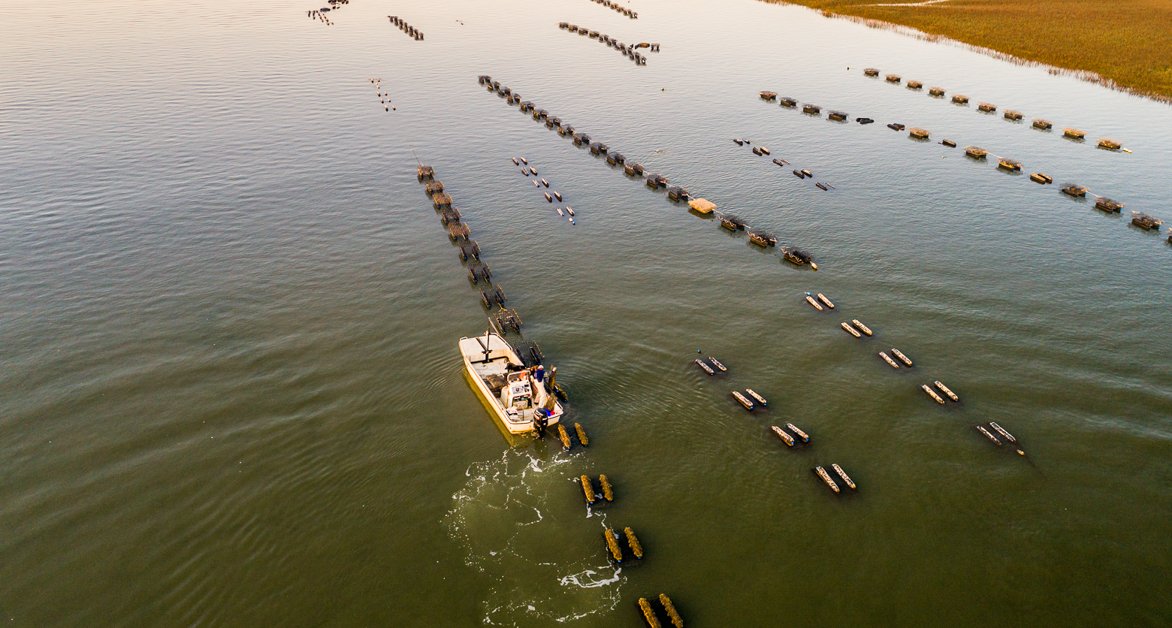 Lowcountry Oyster Co. | Charleston, SC
– Lowcountry Oyster Company